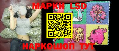 прущие грибы Будённовск