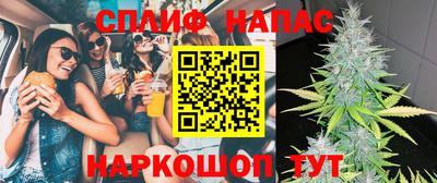 прущие грибы Будённовск