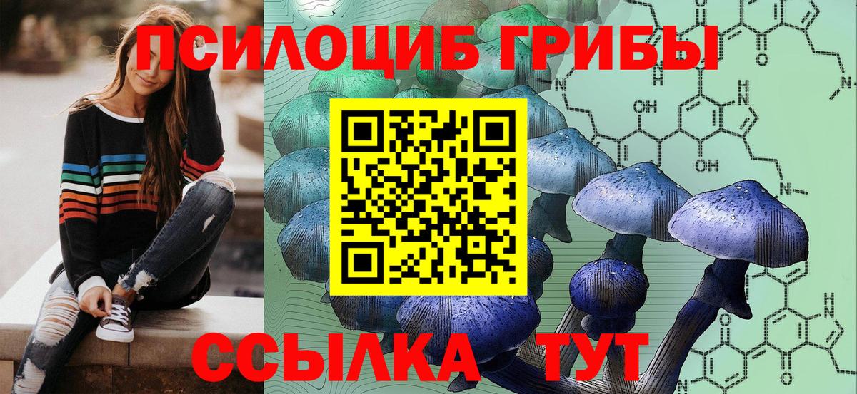 Псилоцибиновые грибы Psilocybe Шебекино